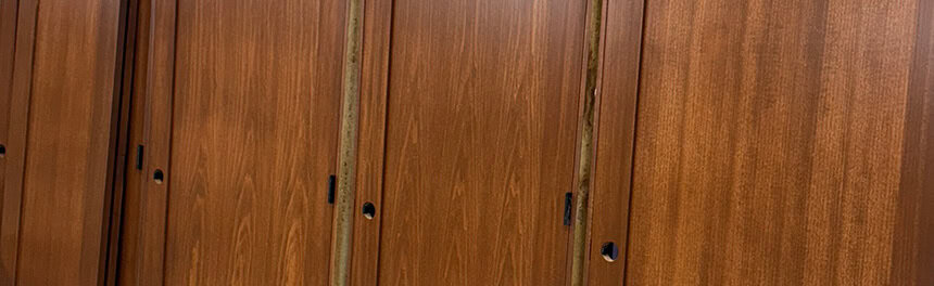 Cabinet - Rhino Paint And Stain